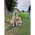 IMG-20190908-WA0001.jpg